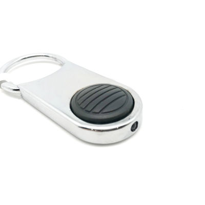 سازمان عملی فولاد Keychain سازمان دهنده با لوگو سفارشی